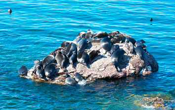 Тур «Байкальский отдых»