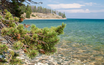 Тур «Байкальский отдых»