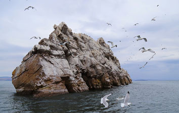 Тур «Очарование Байкала»